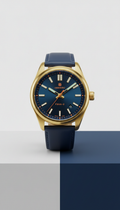 Premium Gold Blue Watches
